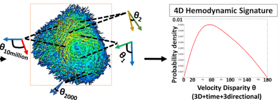 Hyper-dimensional 4D Flow MRI Signatures of Composite Blood Flow Dynamics